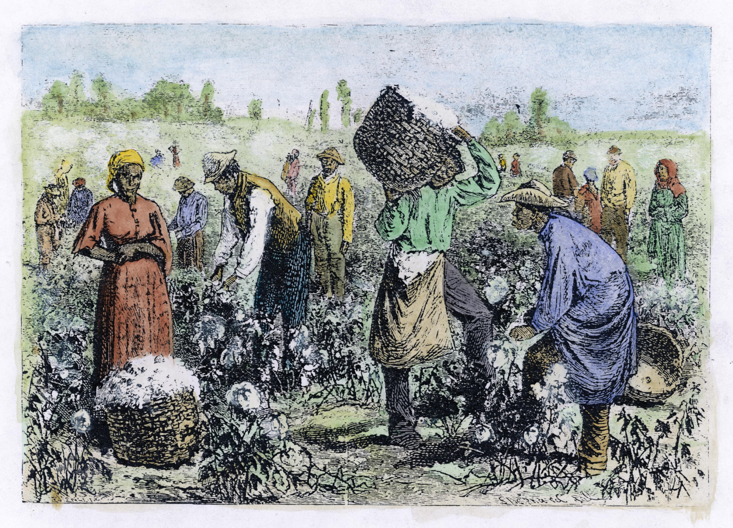 Enslaved Lady symbolizing Eulalie Jacob standing in cotton fields